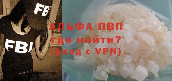 шишки Коряжма
