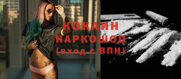 шишки Коряжма