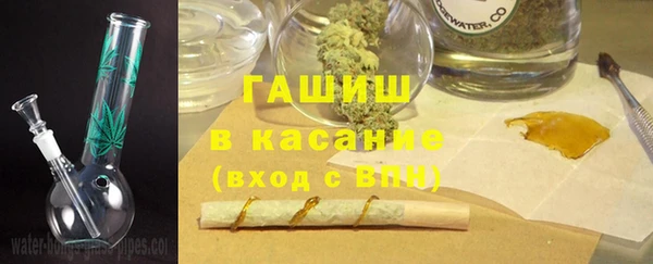 шишки Коряжма