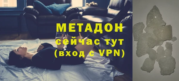 шишки Корсаков