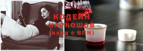 шишки Корсаков