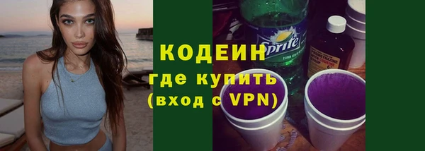 сатива Козельск