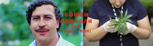 шишки Коряжма