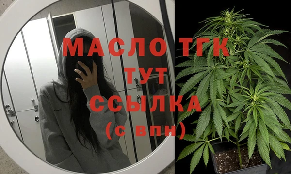 шишки Коряжма