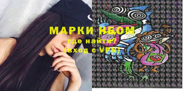 шишки Корсаков