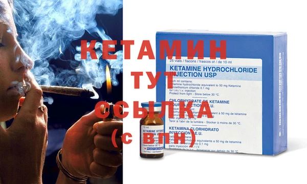 шишки Коряжма