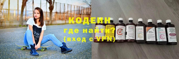 шишки Корсаков