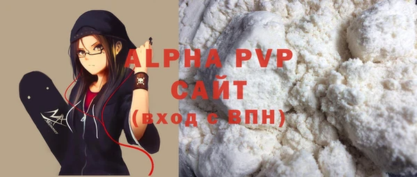 шишки Коряжма