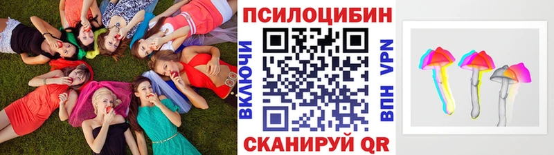 где продают   Кяхта  гидра   Псилоцибиновые грибы GOLDEN TEACHER 